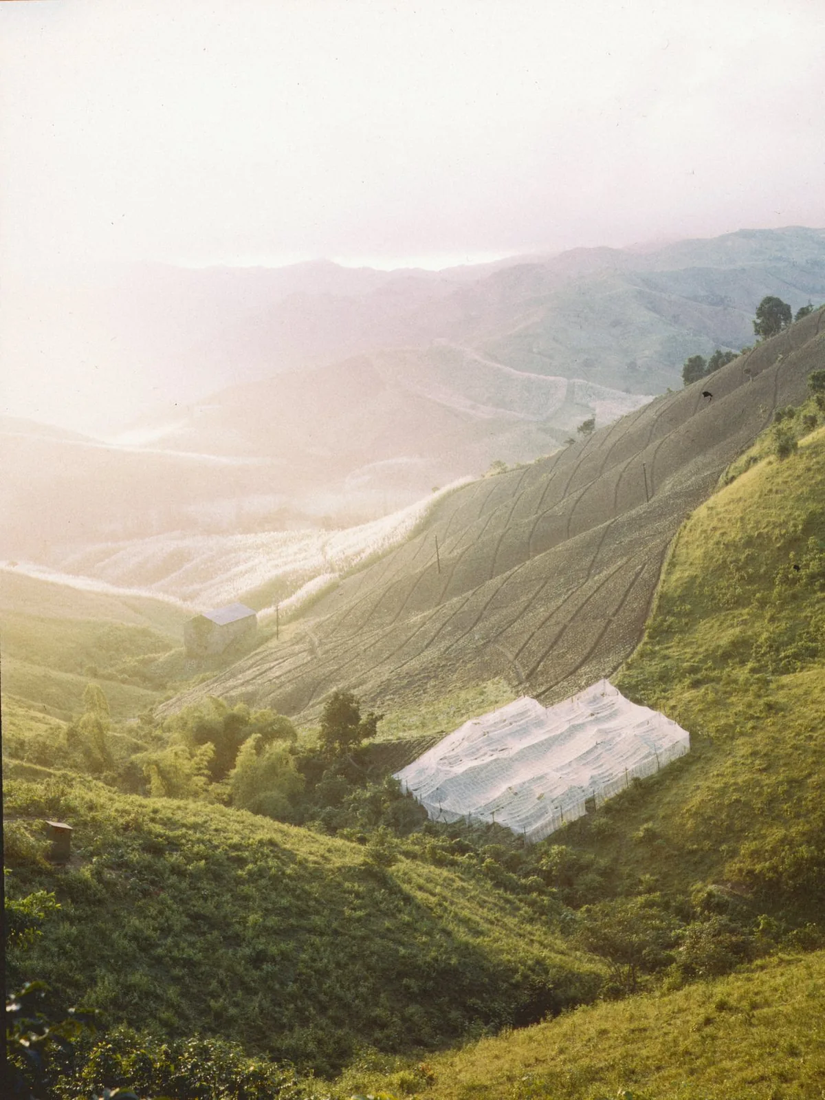 Photograph: sunlight over a green valley in the hills